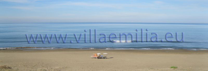IMG_1376.jpg